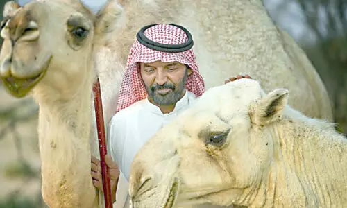 ബ​ന്ദ​ർ​ അ​ൽ അ​ദ്​​വാ​നി