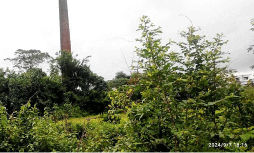 തോ​ളേ​നി​യി​ലെ ഓ​ടു നി​ർ​മാ​ണ ഫാ​ക്ട​റി: ഫാ​ക്ട​റി​യു​മി​ല്ല, ഇ​ന്റ​ർ​ലോ​ക്കു​മി​ല്ല;   24 ല​ക്ഷം ക​ട​ബാ​ധ്യ​ത മാ​ത്രം