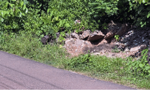 കോ​ൺ​ക്രീ​റ്റ് അ​വ​ശി​ഷ്ടം മാറ്റിയില്ല; ഇവിടെ ഇഴജന്തുക്കൾ വാഴുന്നു