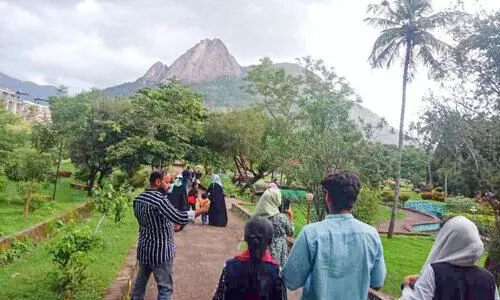 Kanjirapuzha Kanjirapuzha