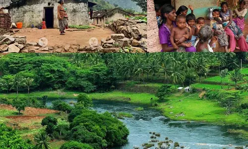 അട്ടപ്പാടിയിൽ ഭൂസർവേക്ക് സ്പെഷ്യൽ ഓഫിസറെ നിയോഗിക്കണമെന്ന ഹൈകോടതി ഉത്തരവ് ചുവപ്പ് നാടയിൽ