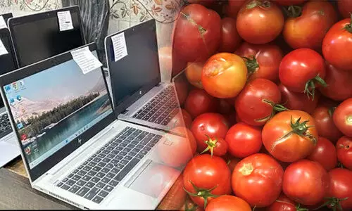 തക്കാളി കൃഷി നഷ്ടമായി; ഓഫീസിൽനിന്ന് 57 ലാപ്ടോപ്പുകൾ മോഷ്ടിച്ച് ടെക്കി