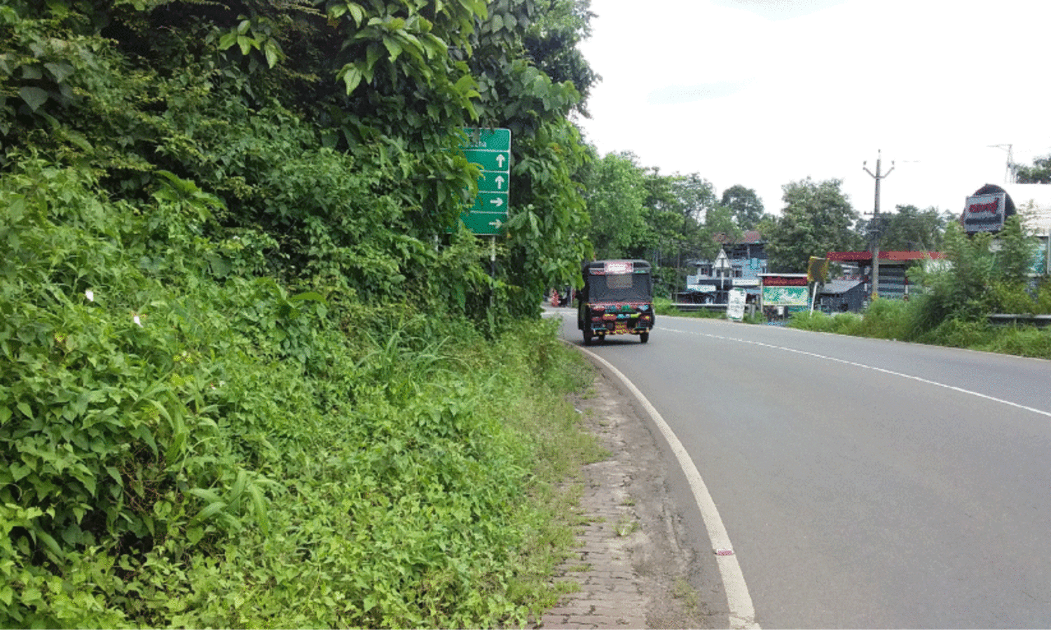 ദേശീയപാതയിൽ കാട് ഭീഷണിയാകുന്നു