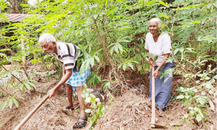 പ്രാ​യം ത​ള​ർ​ത്താ​ത്ത മ​ന​സ്സു​മാ​യി കൃ​ഷി​യെ സ്നേ​ഹി​ച്ച മേ​രി​യും വി​ട​വാ​ങ്ങി