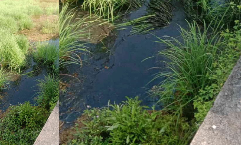 പൊയ്യയിൽ കക്കൂസ് മാലിന്യം തള്ളി