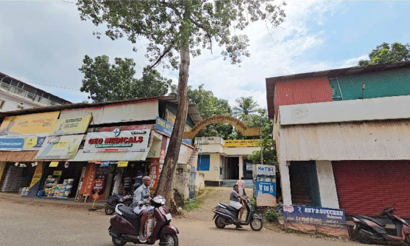 മരം അപകടഭീഷണിയുയർത്തുന്നു; ക​ല​ക്ട​റു​ടെ ഉ​ത്ത​ര​വി​ന് പു​ല്ലു​വി​ല