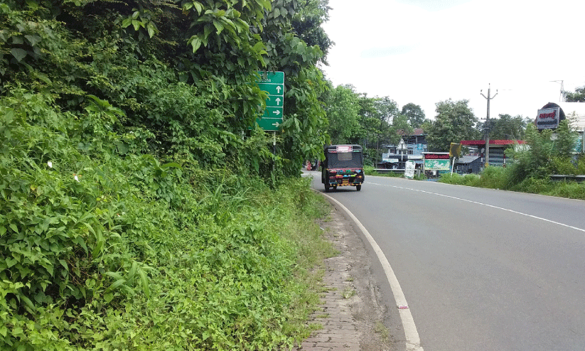 ദേശീയപാതയിൽ കാട് ഭീഷണിയാകുന്നു ദേശീയപാതയിൽ കാട് ഭീഷണിയാകുന്നു