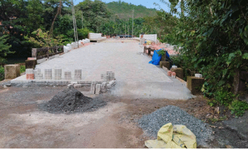 പു​ളി​ക്കാ​ൽ പാ​ലം യാ​ഥാ​ർ​ഥ്യ​മാ​കു​ന്നു