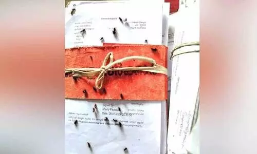 മ​ല​പ്പു​റം ജി​ല്ല സാ​മൂ​ഹി​ക നീ​തി ഓ​ഫി​സി​ൽ പു​ഴു​ശ​ല്യം