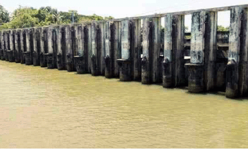 ഇ​ടി​യ​ഞ്ചി​റ റെ​ഗു​ലേ​റ്റ​റി​ന്റെ ഷ​ട്ട​റു​ക​ൾ അ​ഴി​ച്ചു​മാ​റ്റി; കു​ടി​വെ​ള്ള സ്രോ​ത​സ്സുക​ളി​ൽ ഉ​പ്പു​വെ​ള്ളം ക​യ​റു​ന്നു