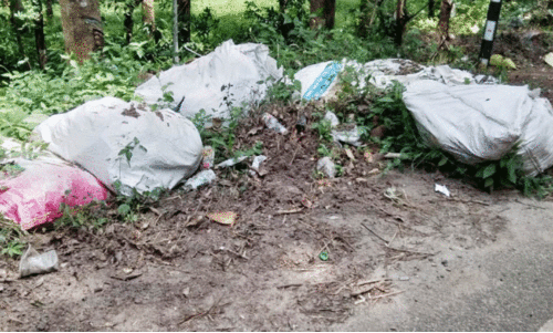 മലയോര ഹൈവേ ഓരത്ത് മാലിന്യം തള്ളൽ തകൃതി