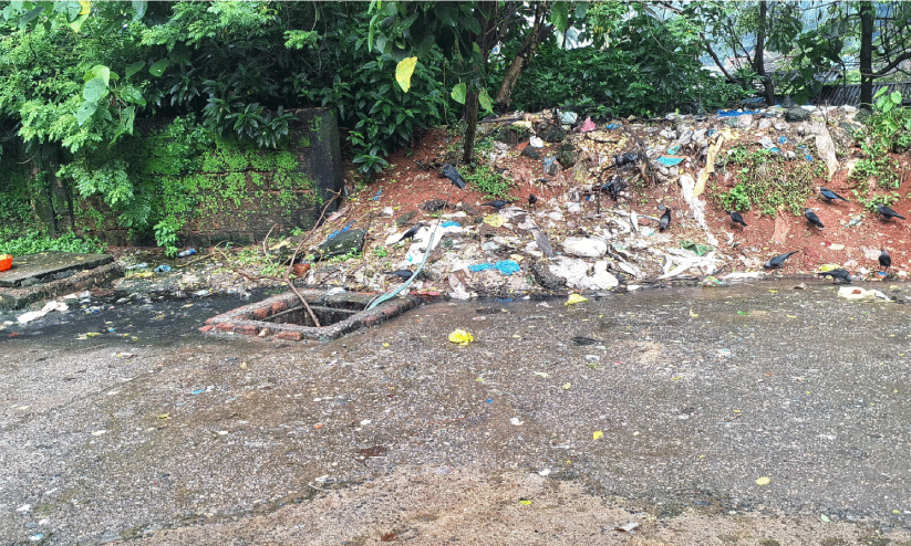 മാ​ലി​ന്യമൊ​ഴി​യു​ന്നി​ല്ല; ഇ​ത് മ​തി രോ​ഗം വ​രാ​ൻ