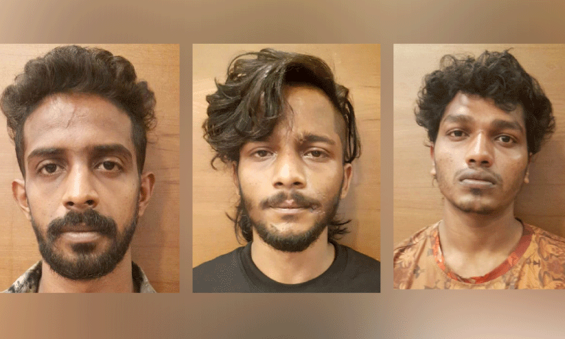 മയക്കുമരുന്നുമായി മൂന്നംഗ സംഘം അറസ്റ്റിൽ