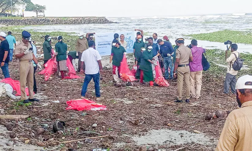 Garbage removing Garbage removing