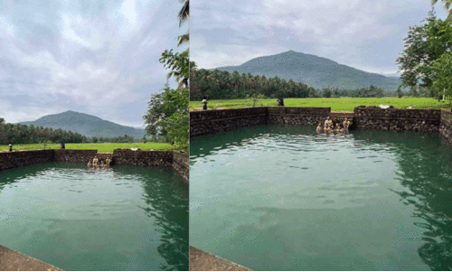 മ​ര​ണ​ക്കെ​ണി​യാ​യ കു​ളം നാ​ട്ടു​കാ​രു​ടെ പേ​ടി​സ്വ​പ്ന​മാ​വു​ന്നു