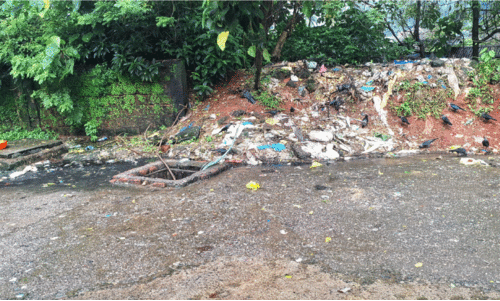 മാ​ലി​ന്യമൊ​ഴി​യു​ന്നി​ല്ല; ഇ​ത് മ​തി രോ​ഗം വ​രാ​ൻ