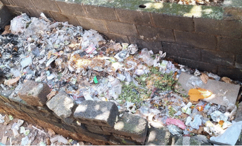 മാലിന്യ സംസ്കരണത്തിലെ പിഴവ്; വ്യാപാര സമുച്ചയങ്ങൾക്ക് പിഴ