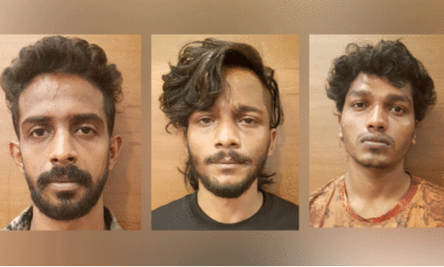 മയക്കുമരുന്നുമായി മൂന്നംഗ സംഘം അറസ്റ്റിൽ