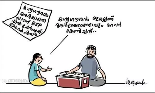 കാര്യഗൗരവം