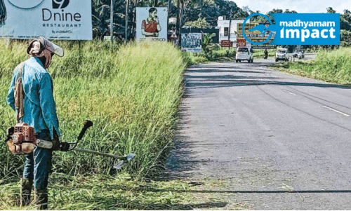 വ​ട​വ​ന്നൂ​ർ മന്ദംപുള്ളി വളവിലെ പാഴ് ചെടികൾ വെട്ടി