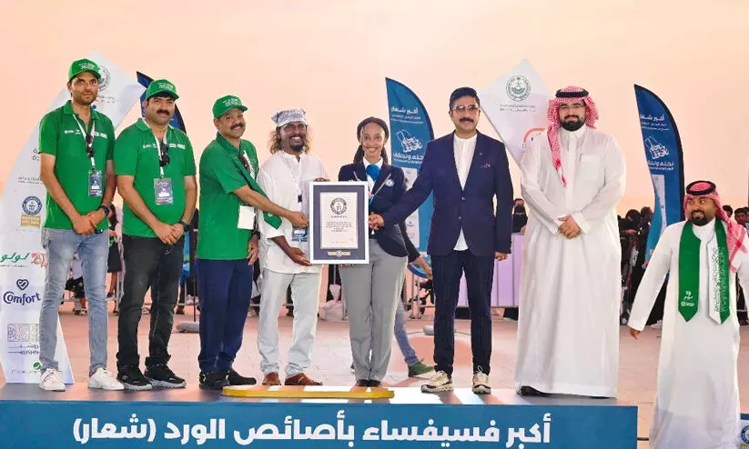 saudi lulu 8976869 saudi lulu 8976869