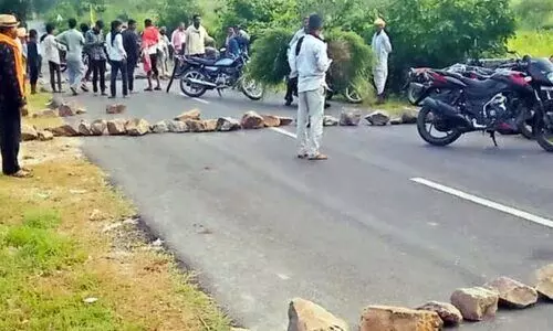 Panic in Udaipur villages after leopard attacks kill 3 in less than 24 hours
