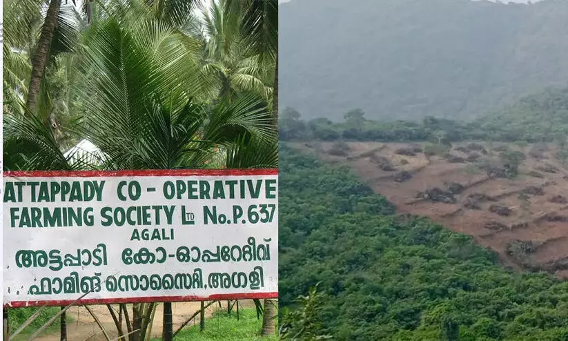 അട്ടപ്പാടി ഐ.ടി.ഡി.പി. മുൻ പ്രോജക്റ്റ് ഓഫീസർ ബി.സി അയ്യപ്പനെതിരെ നടപടി സ്വീകരിക്കണമെന്ന് റിപ്പോർട്ട് അട്ടപ്പാടി ഐ.ടി.ഡി.പി. മുൻ പ്രോജക്റ്റ് ഓഫീസർ ബി.സി അയ്യപ്പനെതിരെ നടപടി സ്വീകരിക്കണമെന്ന് റിപ്പോർട്ട്