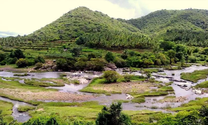 attappady river 9879 attappady river 9879