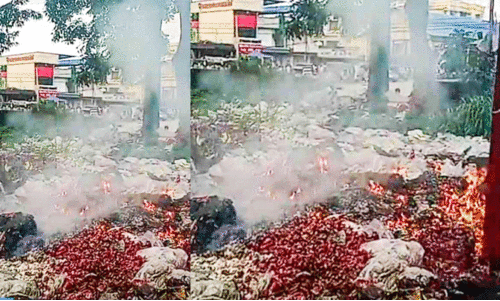 അഞ്ചലിൽ ചപ്പുചവറുകൾക്ക് വീണ്ടും തീപിടിച്ചു