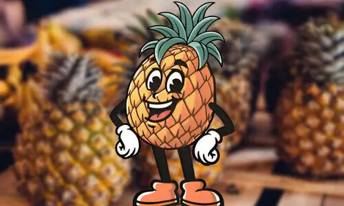 പൈനാപ്പിൾ വില റെക്കോഡിലേക്ക്; കിലോക്ക് 55 രൂപ