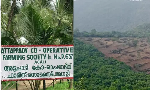 അട്ടപ്പാടി ഐ.ടി.ഡി.പി. മുൻ പ്രോജക്റ്റ് ഓഫീസർ ബി.സി അയ്യപ്പനെതിരെ നടപടി സ്വീകരിക്കണമെന്ന് റിപ്പോർട്ട്