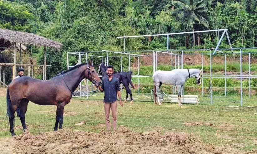 horse training center