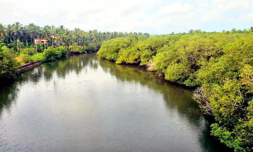 Pullipuzha Pullipuzha