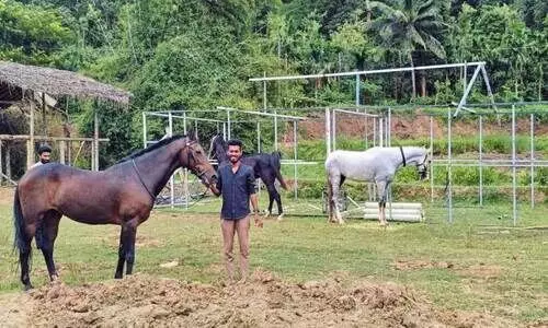 horse training center