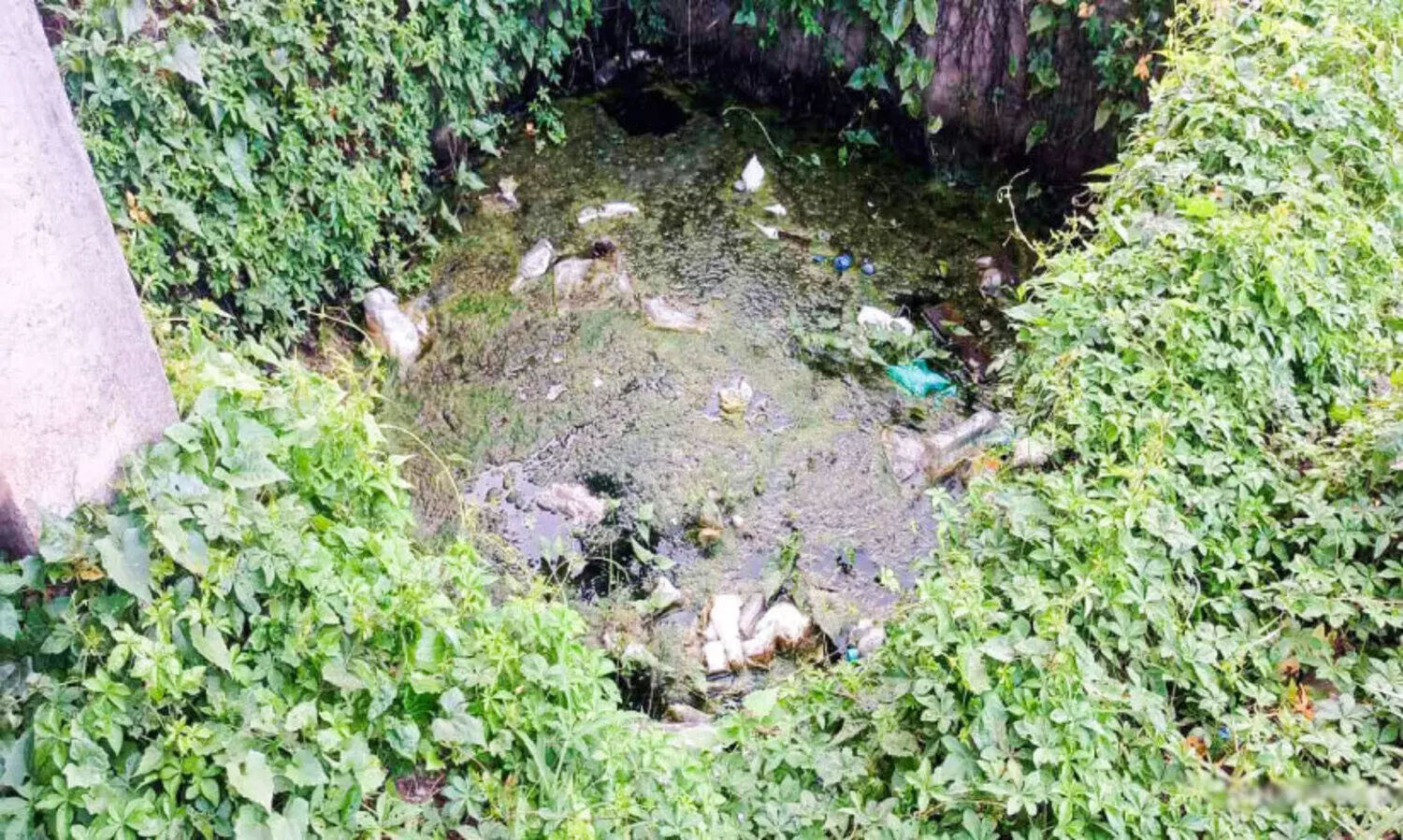 മാർക്കറ്റോ അതോ മാലിന്യ കേ​ന്ദ്രമോ...?