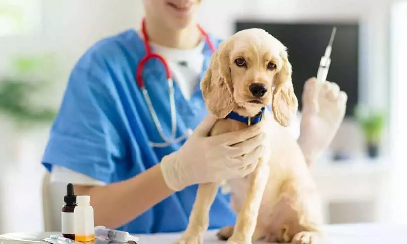 വെറ്ററിനറി കോഴ്സ്: സ്ട്രേ വേക്കൻസി റൗണ്ട് രജിസ്ട്രേഷൻ 25-26 വരെ