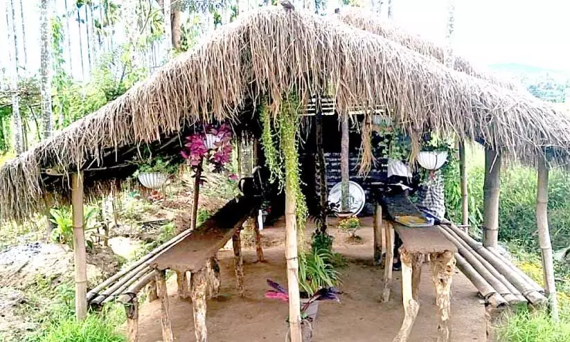 Farm tourism Chekadi