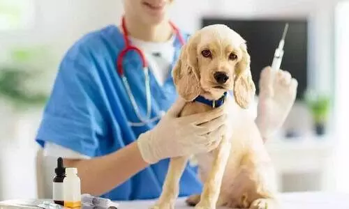 വെറ്ററിനറി കോഴ്സ്: സ്ട്രേ വേക്കൻസി റൗണ്ട് രജിസ്ട്രേഷൻ 25-26 വരെ