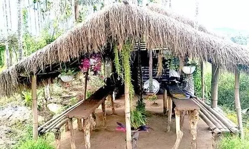 Farm tourism Chekadi