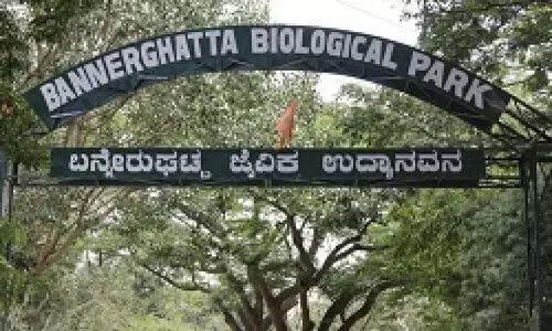 സൂ ​ക്ല​ബു​മാ​യി ബ​ന്നാ​ർ​ഘ​ട്ട ജൈ​വോ​ദ്യാ​നം