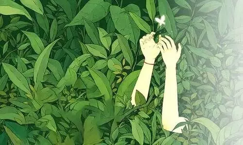 നഗ്നവസ്ത്രം നഗ്നവസ്ത്രം