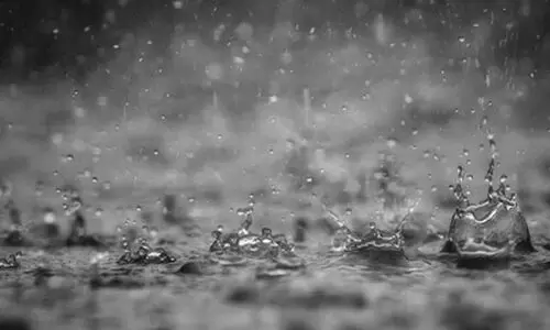 സംസ്ഥാനത്ത് ശക്തമായ മഴക്ക് സാധ്യത; മൂന്ന് ജില്ലകളിൽ മഞ്ഞ അലർട്ട്