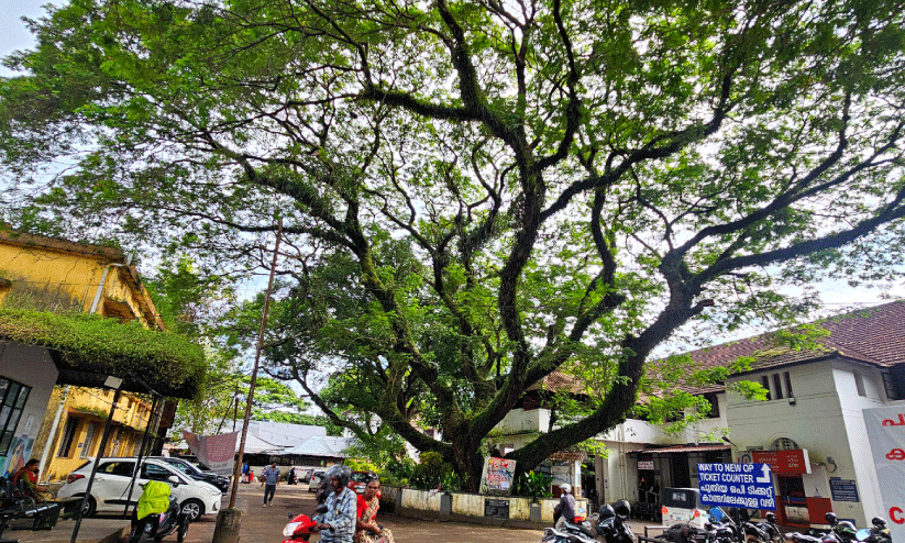 ബീച്ച് ആശുപത്രിക്ക് തണലാണ്, പക്ഷേ...