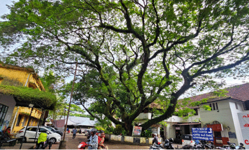 ബീച്ച് ആശുപത്രിക്ക് തണലാണ്, പക്ഷേ...