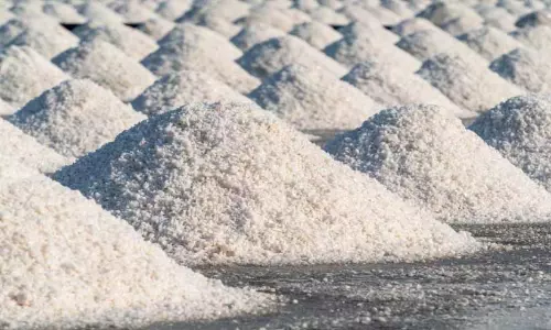 Salt making