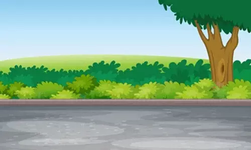 അധികൃതർക്ക്​ അവഗണന; മല്ലപ്പള്ളിയിൽ റോഡ്​ കാടുമുടുന്നു