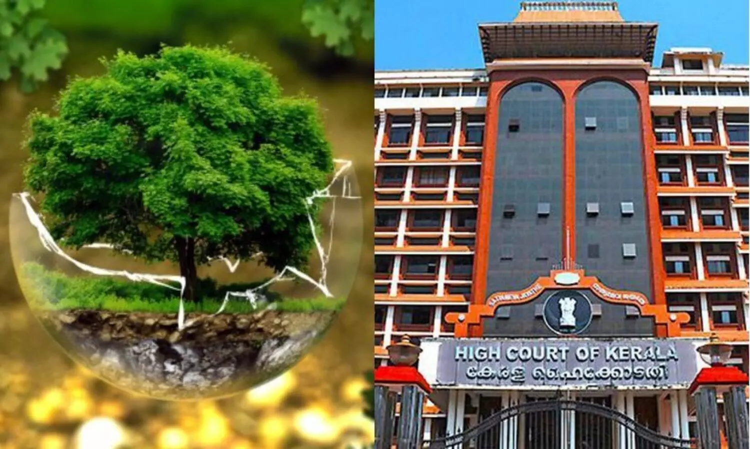 പരിസ്ഥിതി ലോല മേഖല: കരട് വിജ്ഞാപനം അന്തിമമാക്കുന്നത്​ ഹൈകോടതി തടഞ്ഞു