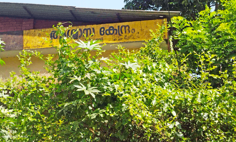 ആശ്വാസകേന്ദ്രം കാടുകയറുന്നു