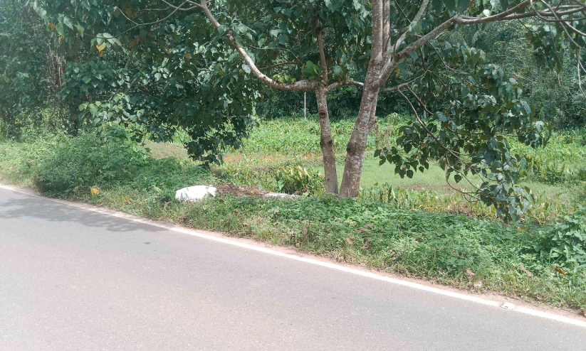 റോഡരികിൽ മാലിന്യം തള്ളുന്നു; ദുർഗന്ധം രൂക്ഷം