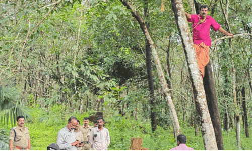 കാ​ട്ടു​പ​ന്നി​ക്കൂ​ട്ടം കൃ​ഷി ന​ശി​പ്പി​ച്ചു; ക​ർ​ഷ​ക​ൻ ആ​ത്മ​ഹ​ത്യ ഭീ​ഷ​ണി മു​ഴ​ക്കി
